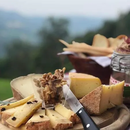 招待所 Ca Praudin